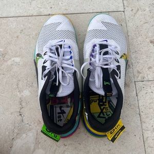 Nike Metcon Men 9.5 US Rainbow